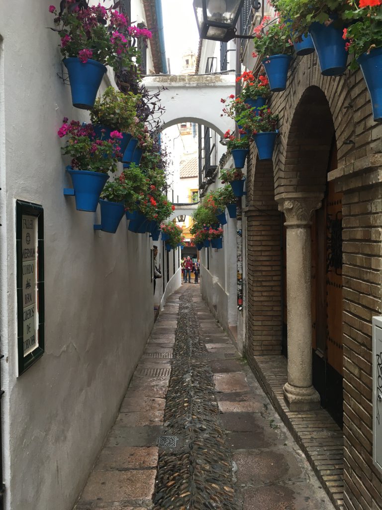 Calleja de las Flores, Cordoba