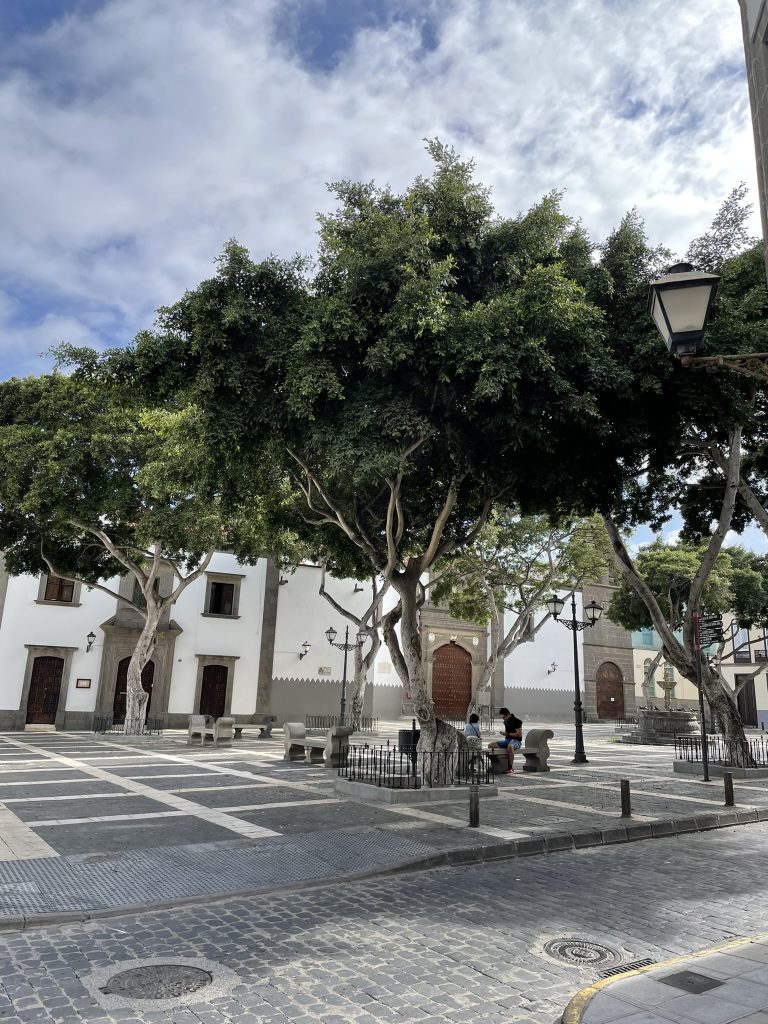 Plaza de Santo Domingo, Las Palmas