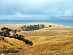 Peisaj din Australia