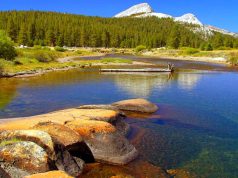 Parcul National Yosemite
