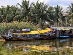Fluviul Mekong, Vietnam